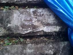 shannonbridge cap-1255.jpg